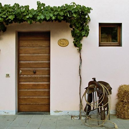 Appartamenti Agriturismo La Canonica Certaldo Buitenkant foto