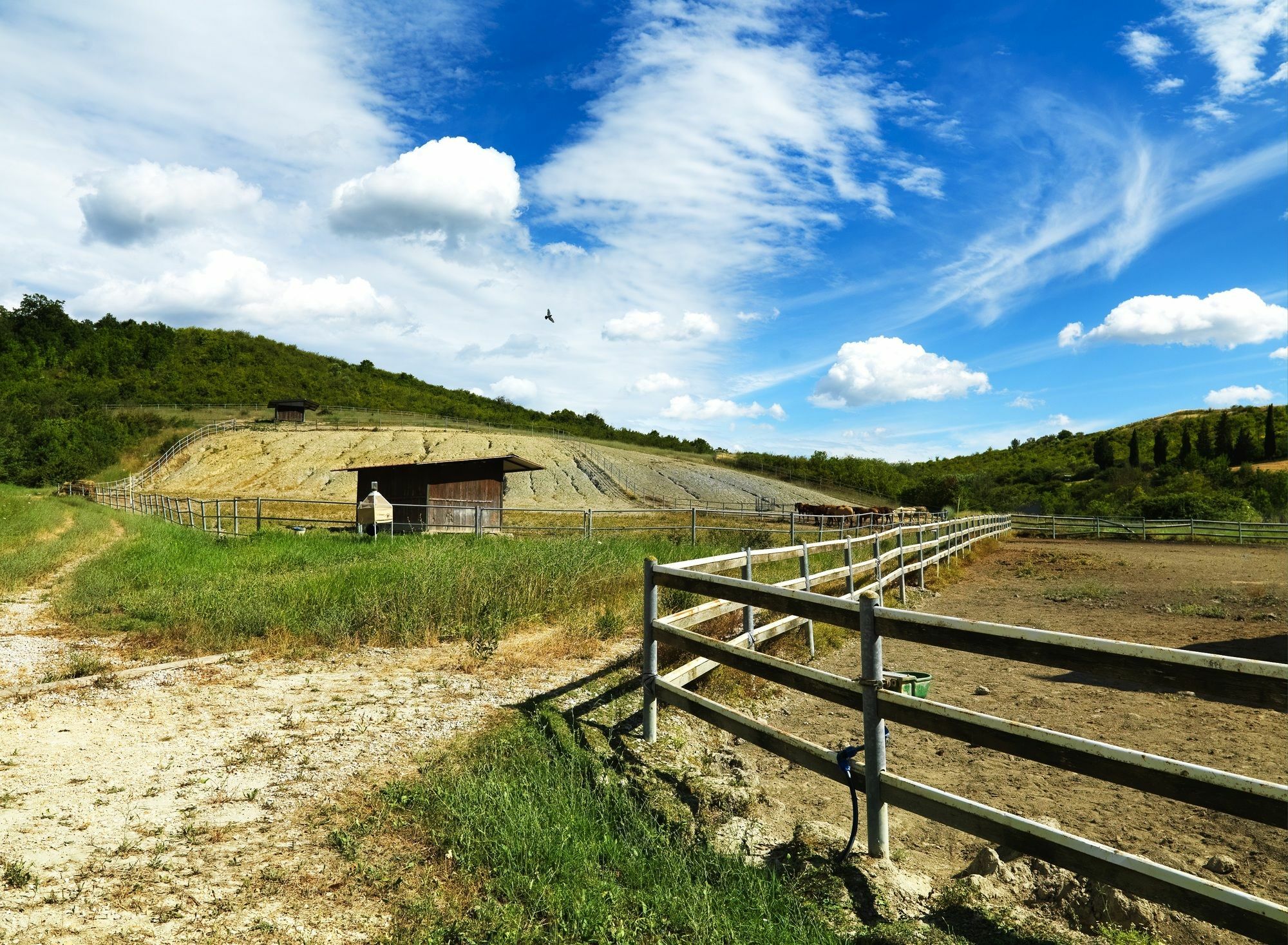 Appartamenti Agriturismo La Canonica Certaldo Buitenkant foto